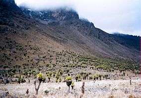 A view of a very slanted and lengthy hill leading to a very foggy top.