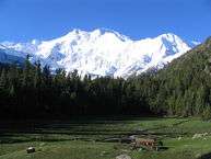 Nanga parbat, fairy medow, Pak by gul791.jpg