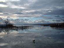 A crow walks on a frozen lake near a narrow dock.