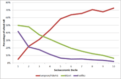 European/Pakeha students make up less than 10% of the student body in 1st-decile schools and over 70% in high-decile schools. Maori and Pasifica students make up 50 and around 42% respectively in 1st-decile schools, and less than 10% each in 10th-decile schools.