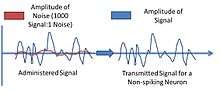 neuron noise