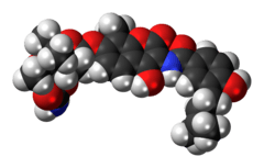 Space-filling model of the novobiocin molecule