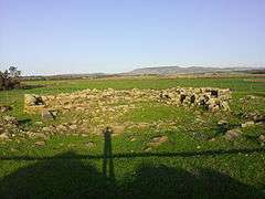 Nuraghe Fenu 2015.jpg