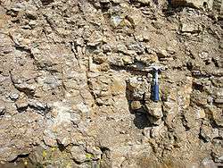 A brownish-grey wall of kukersite is shown with a blue-handled pick axe somewhat to the right of its centre. Fragments of other rocks are visible; most are a little wider than the pick axe handle.