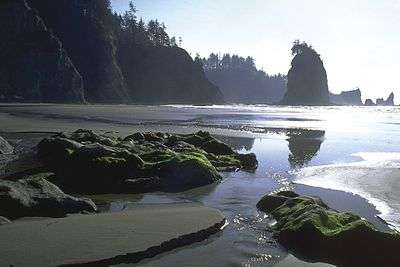 Rocky coastline with trees on the top of the rocks.