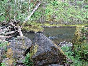 A river with several logs in it, and large rocks in the foreground