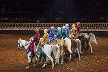 A row of about eight Arabian horses ridden by people in colorful Arab-style attire