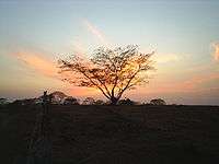 Sunset in Punta de Piedras