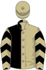 Beige and black (halved), chevrons on sleeves, beige cap