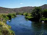 A small river flowing through grassland