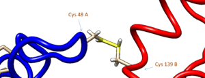 Structure illustration