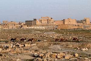 Ruins of Palmyra