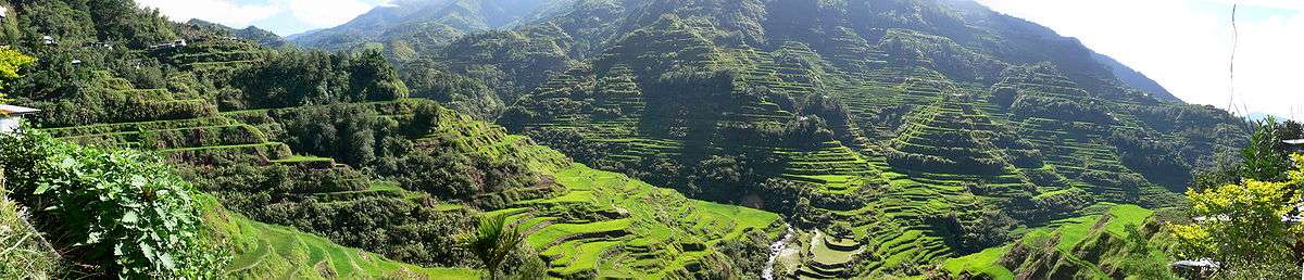 Banaue Rice Terraces