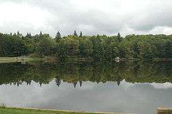 A line of trees reflected in a still lake under a cloudy sky