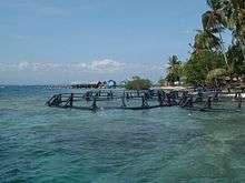 Photo of three circular metal cages in shallows, with docks, boathouses and palm trees in background