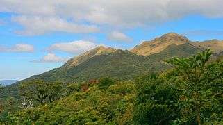 Mount Pulag National Park