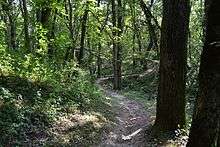 Pilot Knob State Park, Trail Area (Area 6a-6c)