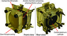 BPV system employing whole cyanobacteria