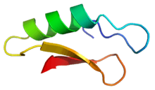 Cartoon representation of the secondary structure of plectasin.