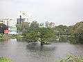 Pond at Chetput1.JPG