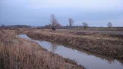 Prairie Creek Site