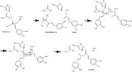 CURS1 Mechanism