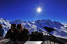  Visitors sitting at tables on a large balcony high in the Swiss Alps, and a chough is perching on a railing beside them.