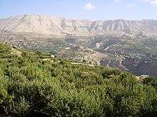 Landscape with barren hills in the background, a valley and a mountain slope with low trees in the foreground.