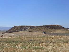 Photograph of a double, overgrown mound