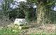 Two stone steps on a roadside grassy bank