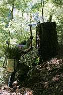 Volunteer replants native Douglas Fir on the river