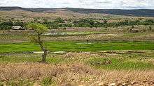 A landscape showing a lush, green rice paddie surrounded by barren, dry hills