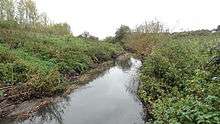 River Beam in Beam Valley Country Park