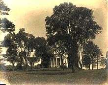 A white neoclassical mansion surrounded by trees