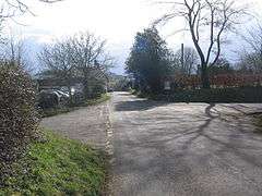 Street scene with houses dotted amongst the trees.