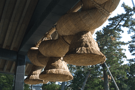 Shimenawa at Izumo-Taisha.png