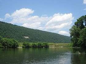 Wooded mountainside seen from a river