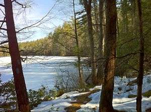 Frozen pond