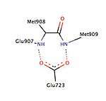 Helixes