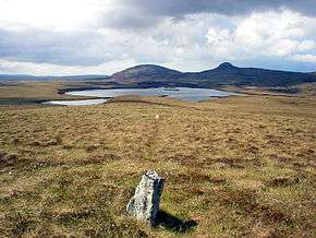 Photo of the standing stones