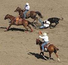 A man, having just leapt from his horse, has wrapped his arms around a steer's neck in an attempt to drive it to the ground. Two other men on horseback follow close behind.