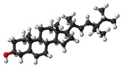 Ball-and-stick model of stigmasterol