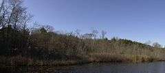 Stony Brook Reservation Parkways, Metropolitan Park System of Great Boston MPS