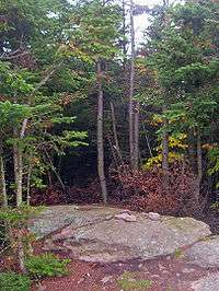 Small pinkish rocks on a larger gray one with thick evergreen trees behind it