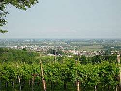 Susegana as viewed from the hills