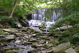 Wide waterfall through trees