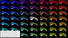 Figure shows randomly synthesized structures