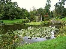 A lily pond with a temple-like structure at the far end