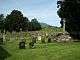 A stone cross and steps next to a yew tree in a graveyard, with a field with sheep in the background