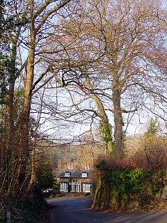 A narrow, winding road leads steeply downwards through trees, to a cottage with woods in the distance